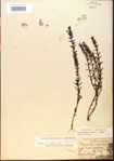 000015096-thumbnail.jpg