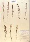 000015097-thumbnail.jpg