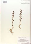 000015100-thumbnail.jpg