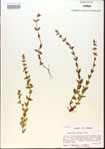 000015102-thumbnail.jpg