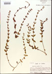 000015103-thumbnail.jpg