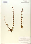000015104-thumbnail.jpg