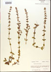 000015106-thumbnail.jpg