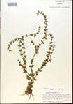 000015107-thumbnail.jpg