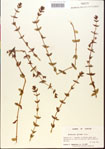 000015108-thumbnail.jpg