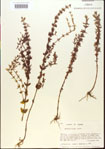 000015110-thumbnail.jpg