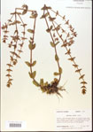 000015111-thumbnail.jpg
