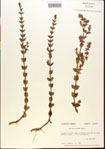 000015112-thumbnail.jpg