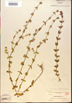 000015113-thumbnail.jpg