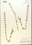 000015114-thumbnail.jpg