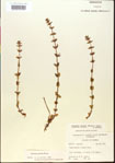 000015115-thumbnail.jpg