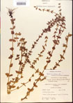 000015117-thumbnail.jpg
