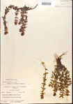 000015118-thumbnail.jpg