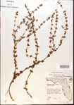 000015119-thumbnail.jpg