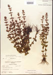 000015120-thumbnail.jpg
