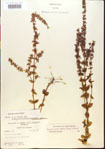 000015122-thumbnail.jpg