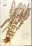 000015123-thumbnail.jpg