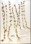 000015125-thumbnail.jpg