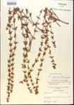 000015126-thumbnail.jpg