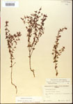 000015127-thumbnail.jpg