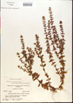 000015128-thumbnail.jpg