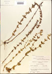 000015130-thumbnail.jpg