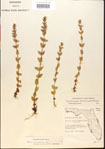 000015134-thumbnail.jpg