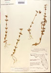 000015136-thumbnail.jpg