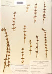 000015137-thumbnail.jpg