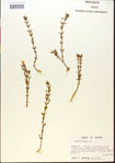 000015138-thumbnail.jpg