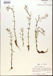 000015139-thumbnail.jpg