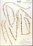 000015140-thumbnail.jpg