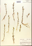 000015141-thumbnail.jpg