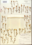 000015142-thumbnail.jpg