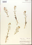 000015143-thumbnail.jpg