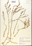 000015144-thumbnail.jpg