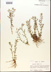 000015145-thumbnail.jpg