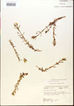 000015146-thumbnail.jpg