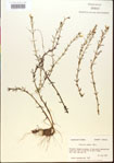 000015148-thumbnail.jpg