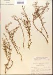 000015149-thumbnail.jpg