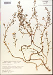 000015151-thumbnail.jpg