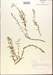 000015152-thumbnail.jpg