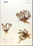 000015153-thumbnail.jpg