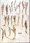 000015154-thumbnail.jpg