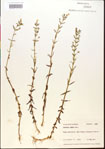 000015155-thumbnail.jpg