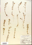 000015156-thumbnail.jpg