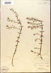 000015157-thumbnail.jpg