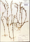 000015159-thumbnail.jpg