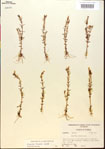 000015162-thumbnail.jpg