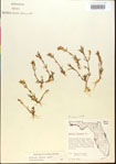 000015163-thumbnail.jpg